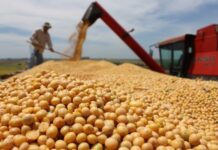 El Gobierno dejó en suspenso la suba de las retenciones y evitó un paro del campo