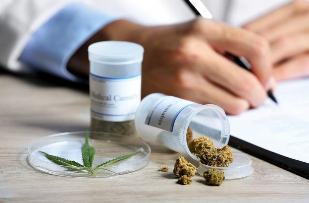 El Gobierno promulgó la ley de uso medicinal del cannabis.