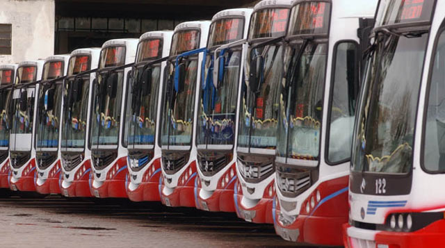 Mataron a un chofer de un balazo, hay paro de colectivos