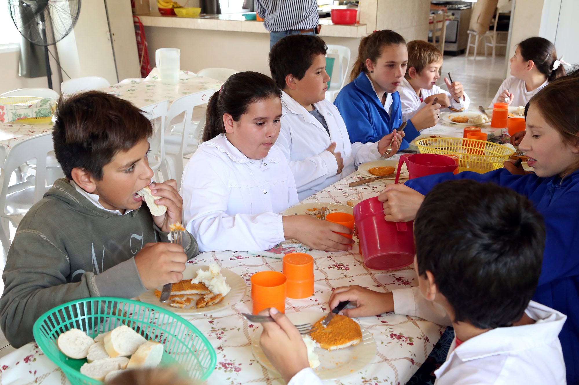Vidal dejaría sin comida a los comedores escolares los paros Vidal dejaría sin comida a los comedores escolares los paros