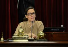 Michetti volvió a impulsar el debate por la baja de la edad de imputabilidad a 14 años Michetti planteó la baja de la edad de imputabilidad