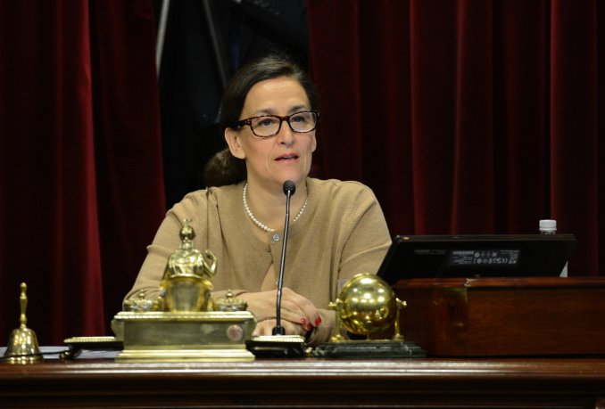 Michetti planteó la baja de la edad de imputabilidad