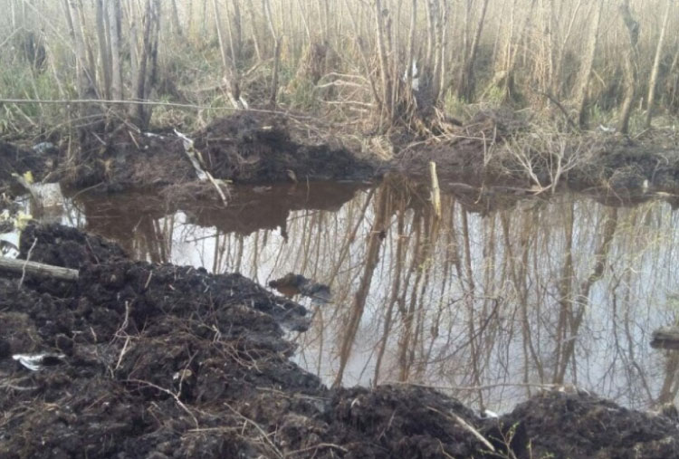 Operativo de rescate en el Delta por el avión estrellado