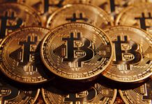 Sigue el derrumbre: el precio de Bitcoin cayó por debajo de los USD 35.500 ¿Qué pasará? bitcoin