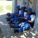PoliciaLocalcelulares
