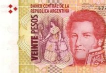 Presentan el nuevo billete de $ 20, con la imagen de un guanaco en lugar de Rosas