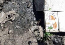Macabro: Hallaron un cuerpo en el arroyo del Rey en Lomas de Zamora Hallaron un cuerpo en el arroyo del Rey en Lomas