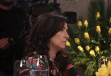 Gabriela Michetti, sobre la RAM: «Algunos actos parecen terrorismo» Michetti dijo  Algunos actos de la RAM parecen terrorismo