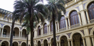 palmera, casa rosada, escándalo,Butia Yatay