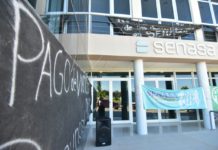Trabajadores del Senasa inician paro de cuatro días por despidos: denuncian peligro sanitario