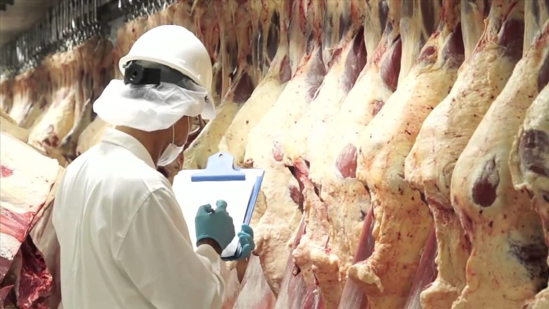exportación de carne, china