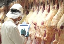 Una buena, el mercado chino se abre a las exportaciones argentinas de carnes exportación de carne, china