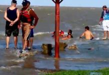 Quilmes: Rescatan a un borracho flotando en el río guardavidas, rio quilmes, rescate, borracho