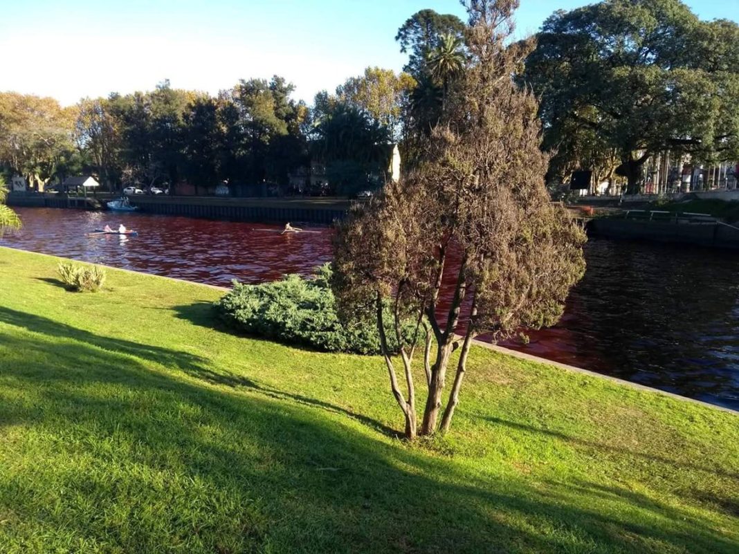 Río rojo en Tigre: confirman que fue por un vuelco clandestino