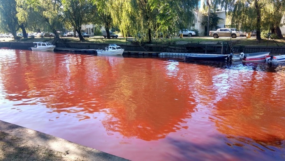 Río rojo: Misterio en Tigre por el color del delta e investigan las causas