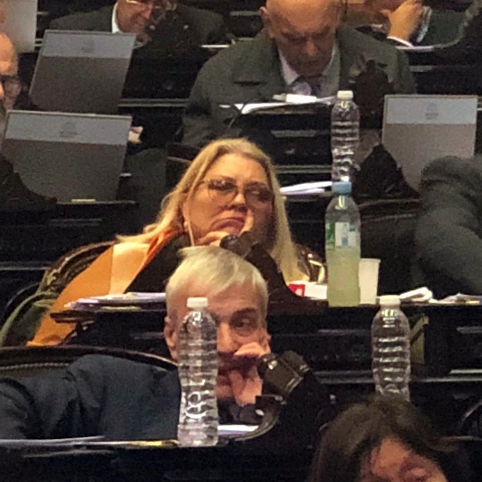 Elisa carrio, lilita carrio, durmiendo, congreso, sesión, justina