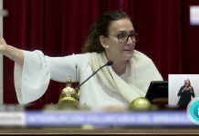 Michetti se olvidó el micrófono abierto y se escuchó el festejo tras el “no” al aborto: «¡Vamos todavía!»
