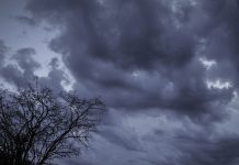 Alerta meteorológica por vientos intensos en Navidad