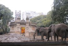 La privatización del ex Zoo de la Ciudad a punto de convertirse en ley La privatización del ex Zoo de la Ciudad a punto de convertirse en ley
