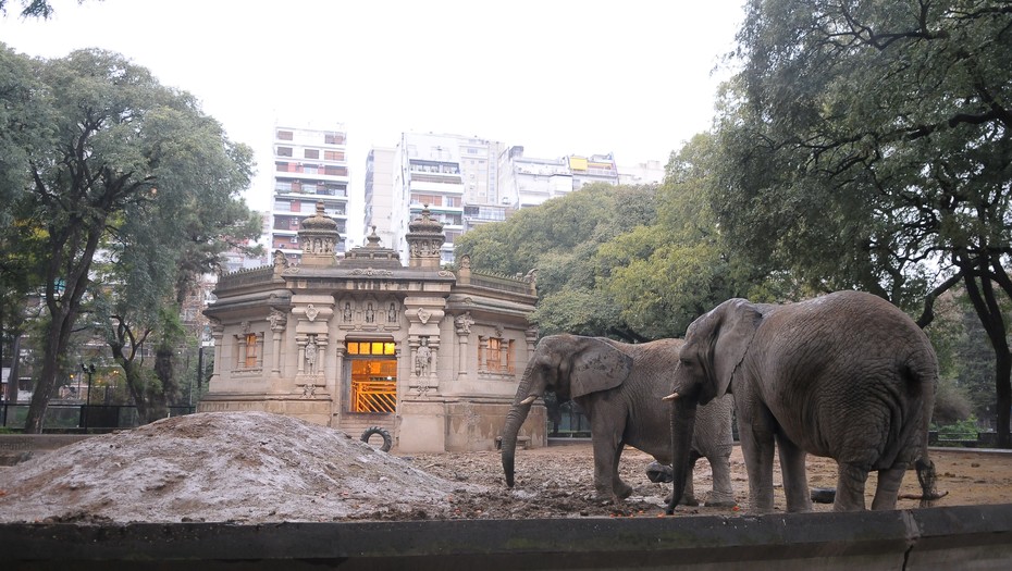 La privatización del ex Zoo de la Ciudad a punto de convertirse en ley