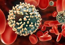 El trasplante de células madre podría erradicar el VIH vih, sida, transplante, cura