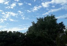 ¿Cómo estará el clima este fin de semana largo?