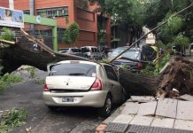 Fotos: Destrozos tras el temporal en Capital Federal y el Conurbano