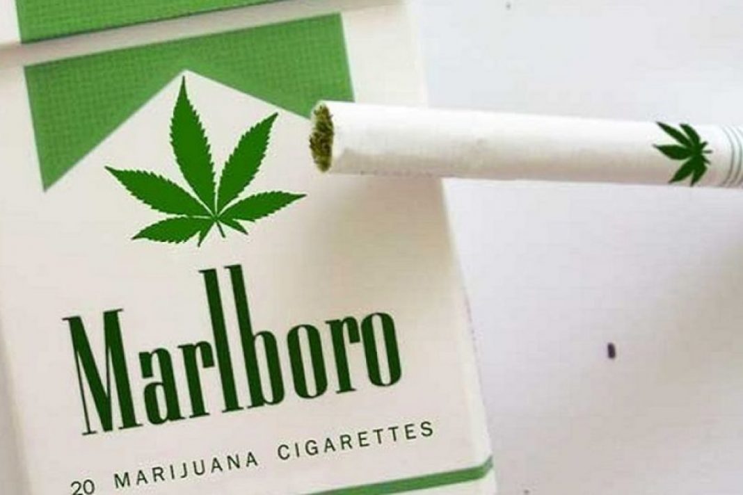 marlboro, marihuana, cannabis, altria, cronos group