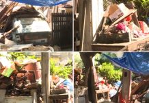 Peligro en Quilmes: un hombre acumula basura en su casa y atrae ratas