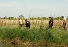 Arranca la sexta búsqueda de Gisella Solís en Berisso gisella solis calle, berisso