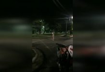 Avellaneda: otro hombre festejó Año Nuevo a los tiros con una escopeta