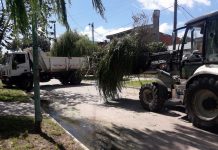 Lomas de Zamora: limpian el Arroyo del Rey para mejorar el drenaje y la higiene