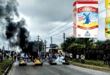 Piden la quiebra de Molino Cañuelas, principal harinera del país: corren riesgo 3000 empleados en 21 plantas