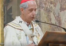 Mario Poli en el Tedeum del 25 de Mayo: «Es hora de ir a un gran pacto nacional» mario poli,