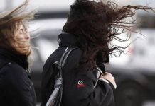 Alerta meteorológico por vientos intensos con ráfagas en la Provincia