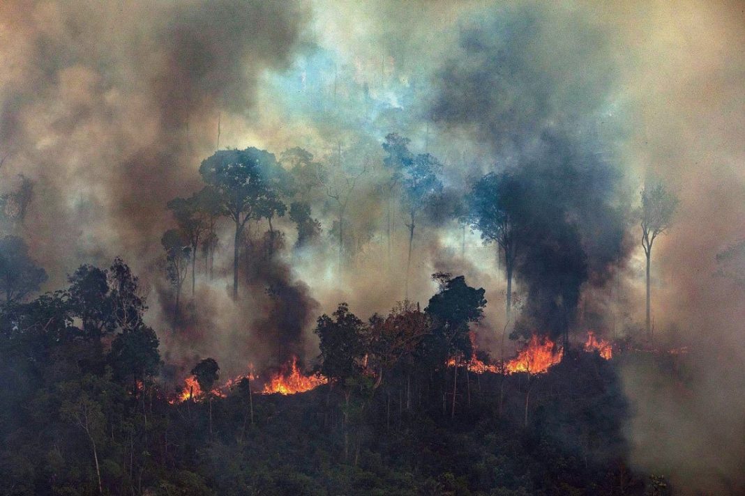 amazonas, incendio, helicopteros, rescatistas