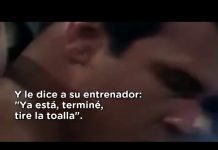 Los trolls activaron la campaña «Macri Ali» en Twitter