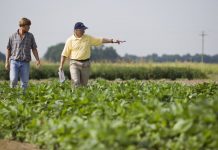 Exportaciones del campo: las retenciones a la soja suben 3%