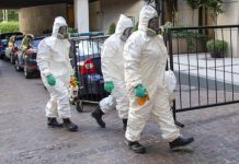 Confirmaron cuatro nuevos muertos por coronavirus en la Argentina y 146 infectados en las últimas 24 horas