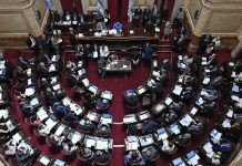 Prisión domiciliaria: Senadoras rechazan el beneficio para quienes cometieron delitos de violencia de género