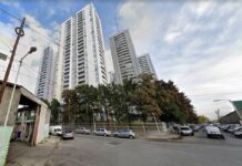 Avellaneda: encontraron el cadáver de un hombre devorado por perros