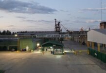 Vicentin rechaza el nuevo proyecto del Gobierno para tomar el control de la empresa