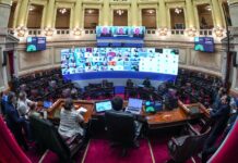 El Senado debate la reestructuración de la deuda pública y la ley de teletrabajo