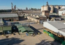 Alberto Fernández anuló por DNU la intervención y la expropiación de Vicentin