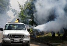 Dengue: preocupante situación en Lomas de Zamora