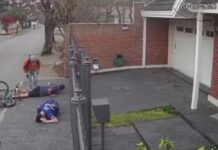 VIDEO: Robos y tiros, vecinos de Adrogué preocupados por la ola de violencia adrogue, robos, almirante brown,