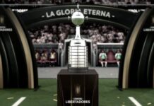 Cinco equipos argentinos competirán hoy por la Copa Libertadores copa libertadores