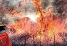 Las llamas continúan activas en seis provincias