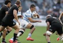 Para la historia: Los Pumas derrotaron a los poderosos All Blacks