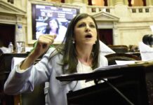 Desde el kirchnerismo buscan más controles para prevenir otro Panama Papers diputada, vallejos, panama pappers, evasion fiscal, proyecto, kirchnerismo